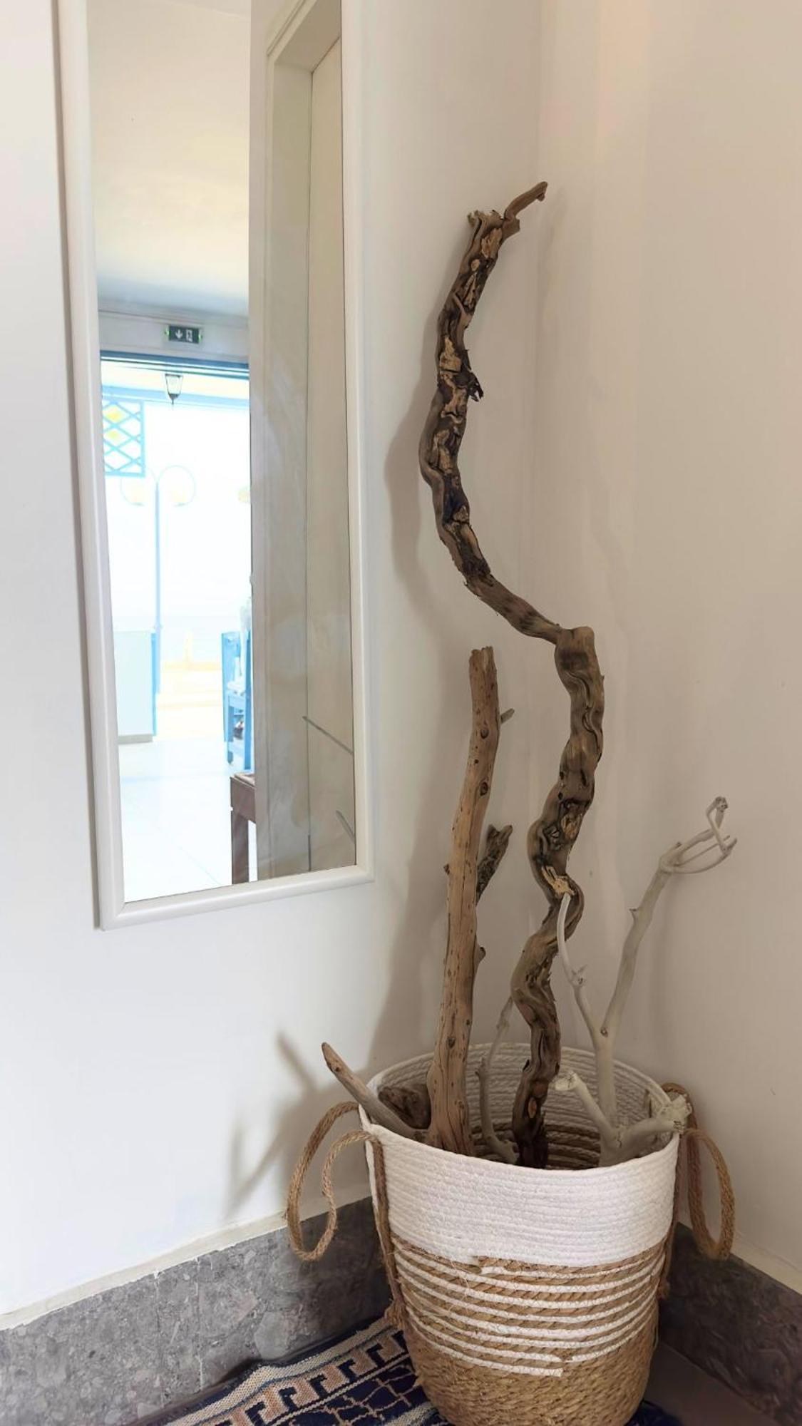Peters Studio Archangelos  Luaran gambar